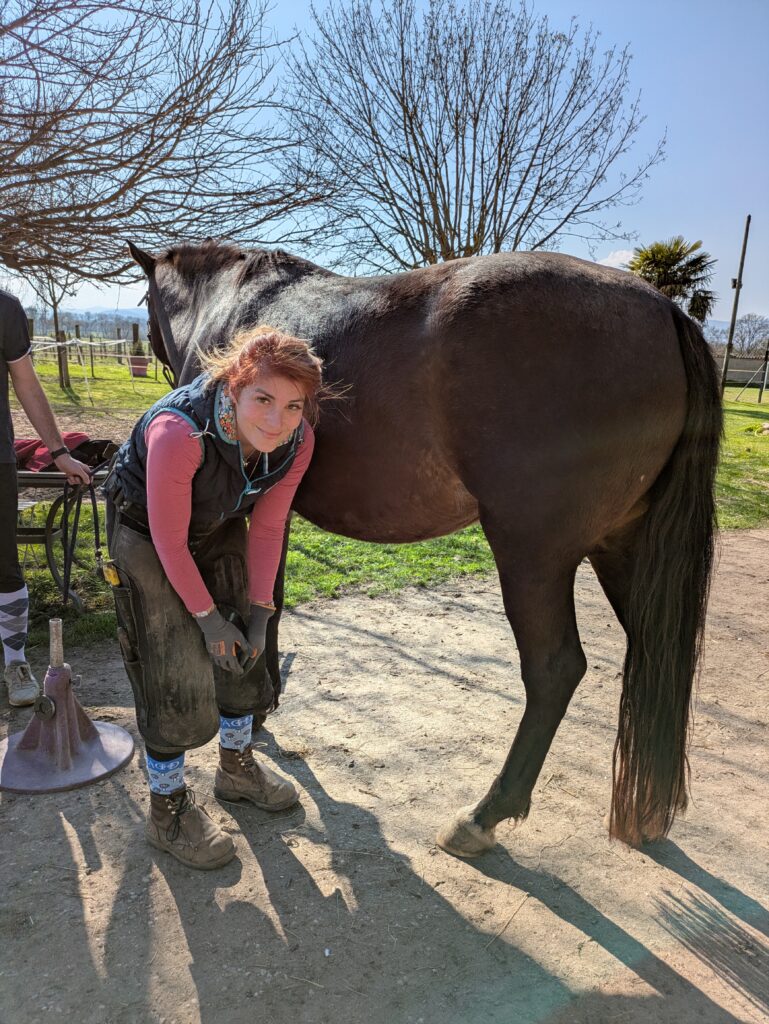 pose en cours de parage