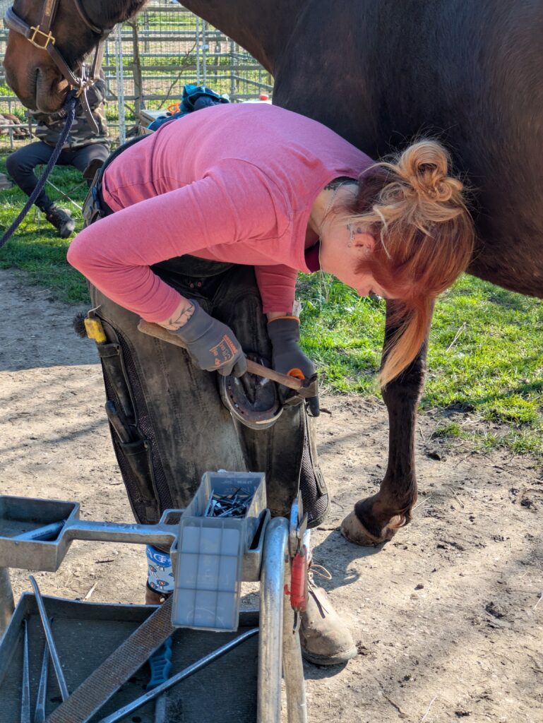 Pose des clous en cours